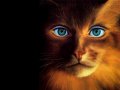 JLM-Jim Warren-16.jpg